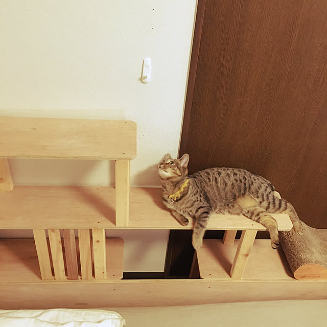 Mさんの実例写真