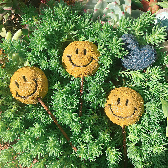 bon-bon-hippieさんの実例写真