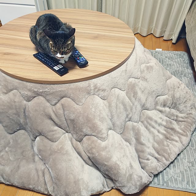 nachiさんの部屋
