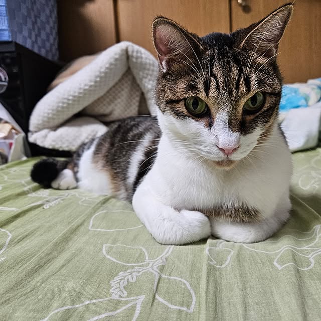 uenさんの部屋