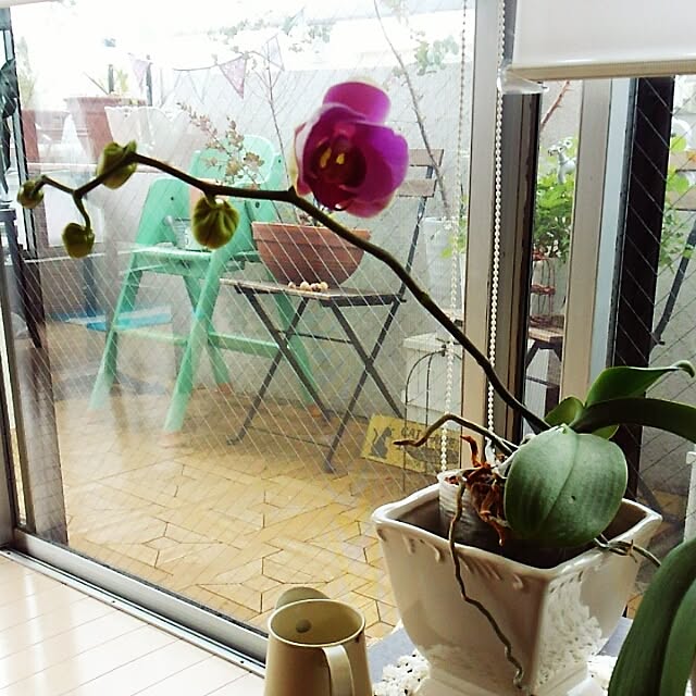 miyururu926さんの実例写真