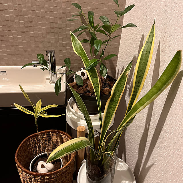 kojimasaさんの実例写真