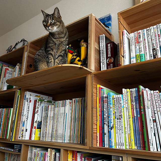 mikomaruさんの部屋