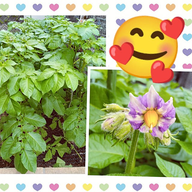 mocomocoさんの実例写真