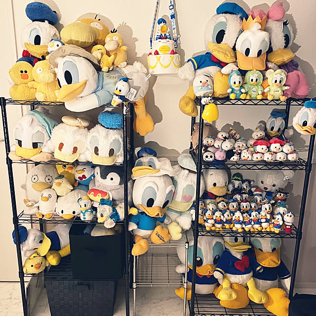 __dddddddduckさんの実例写真