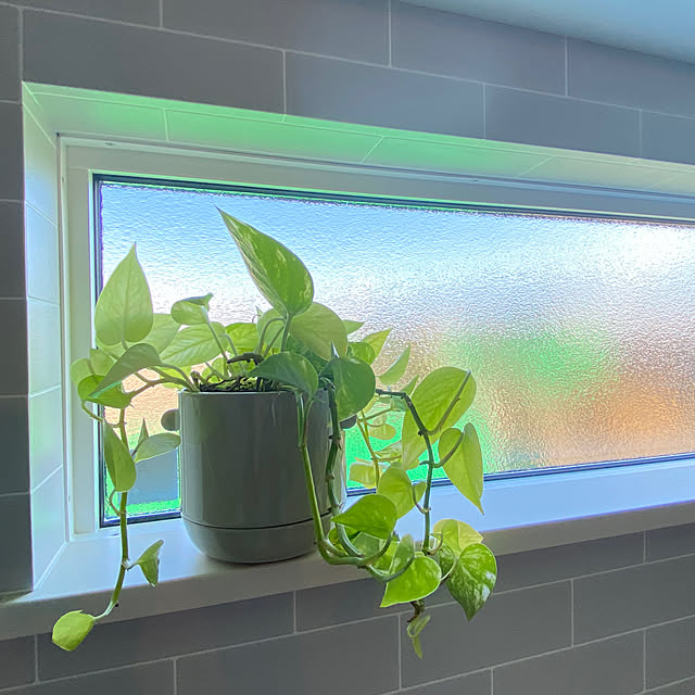 marumori_homeさんの部屋