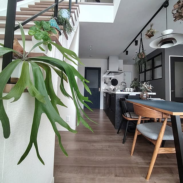 nahoさんの実例写真