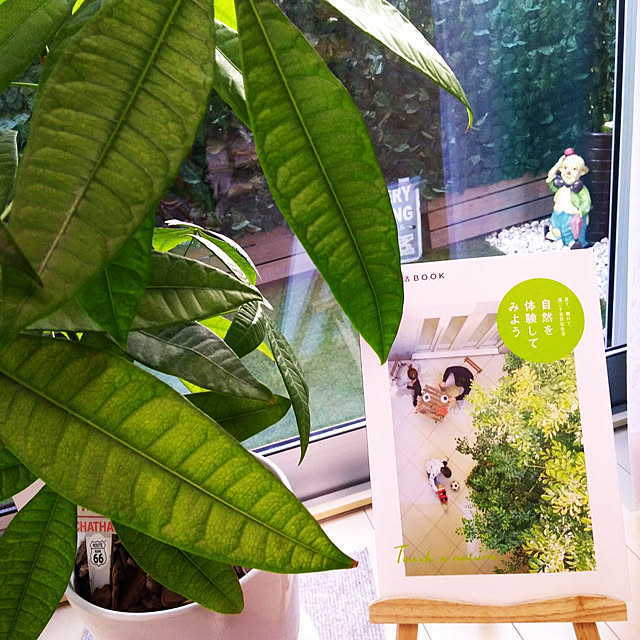 Samさんの実例写真