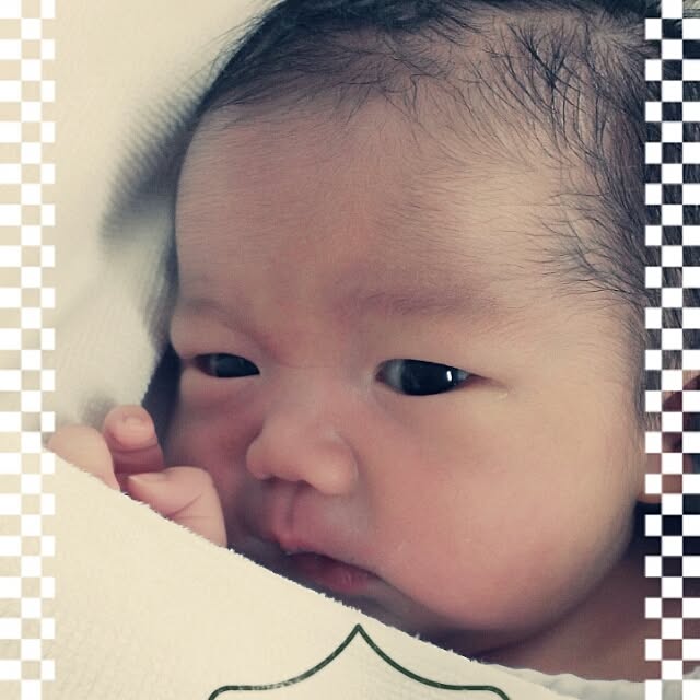youkさんの実例写真