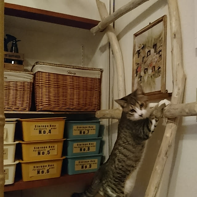 ae86maniaさんの実例写真