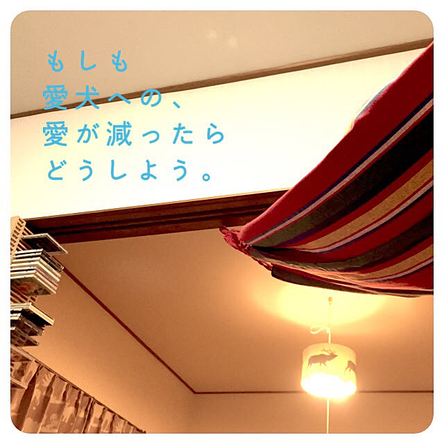 makiさんの実例写真