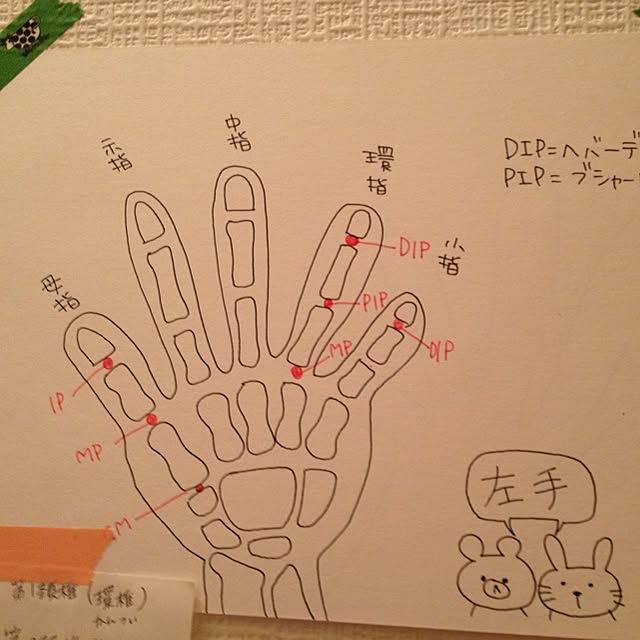 aozoraさんの実例写真