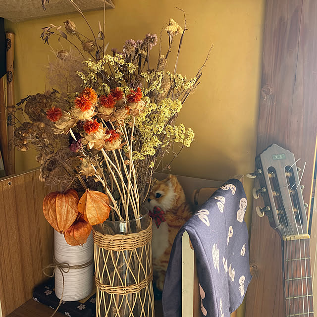 nanacoさんの部屋