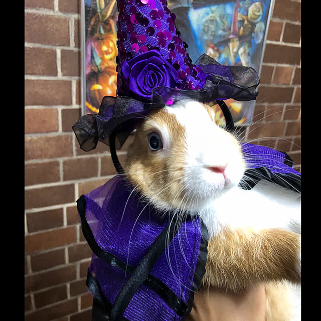 muuさんの実例写真