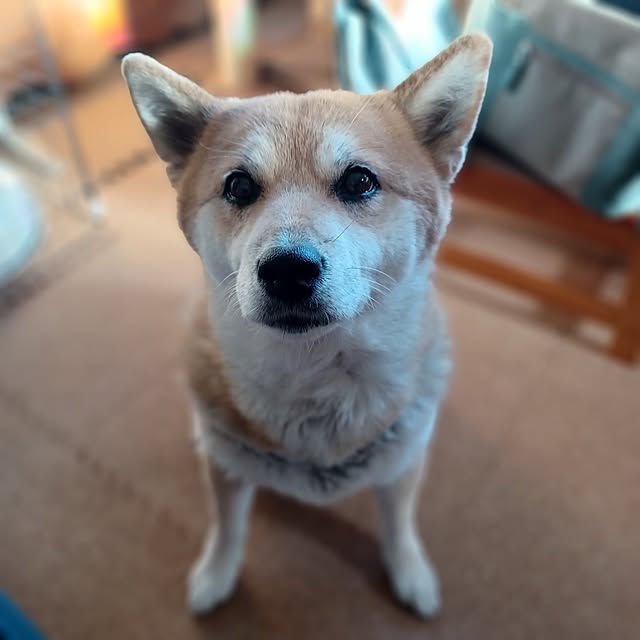 nanaさんの部屋