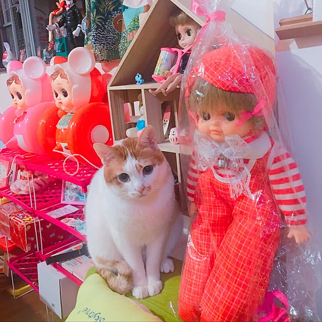 Karenさんの実例写真