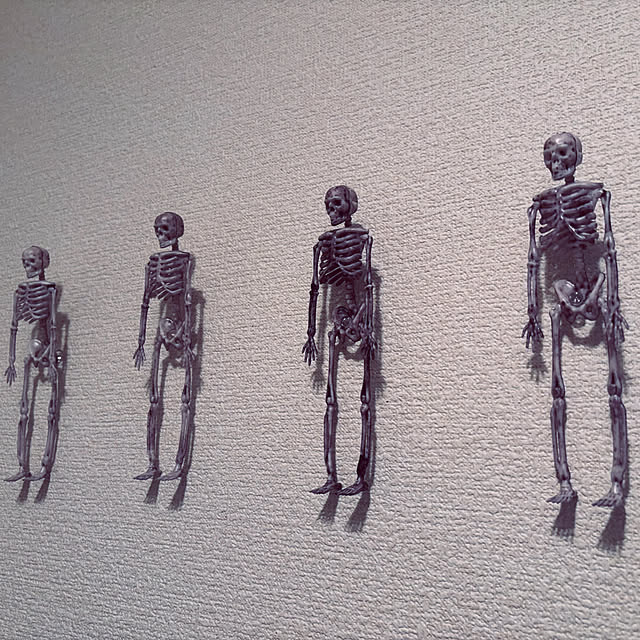 hopperさんの部屋