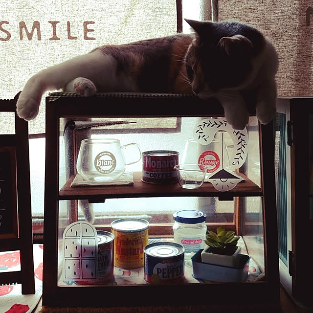 fukuさんの実例写真