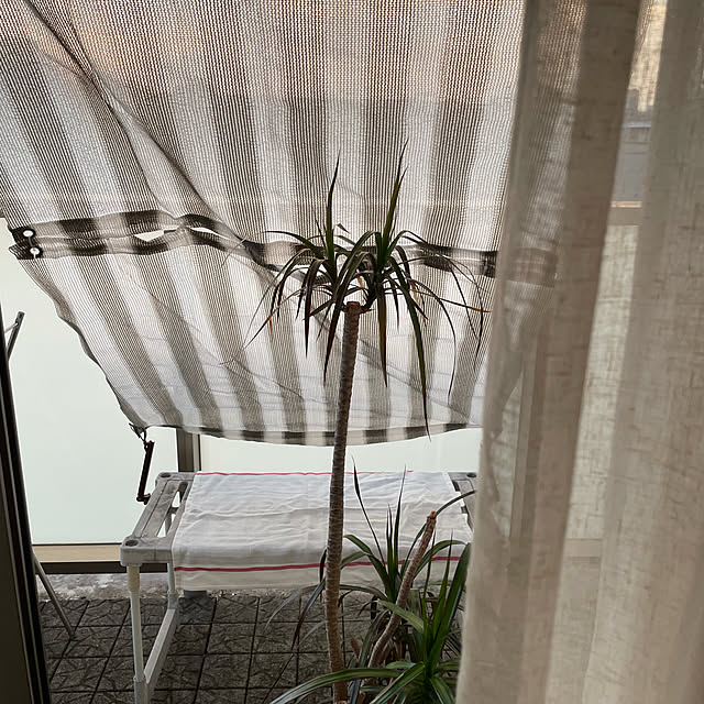 yus09さんの実例写真