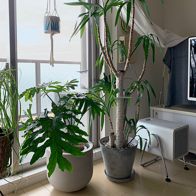 ku_ra_shi_さんの実例写真