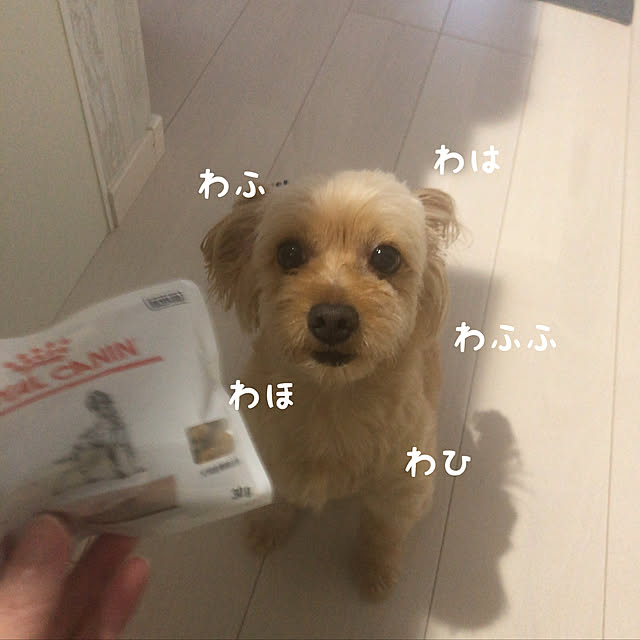 qooさんの実例写真