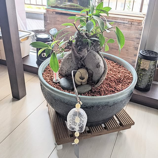 mi-saさんの実例写真