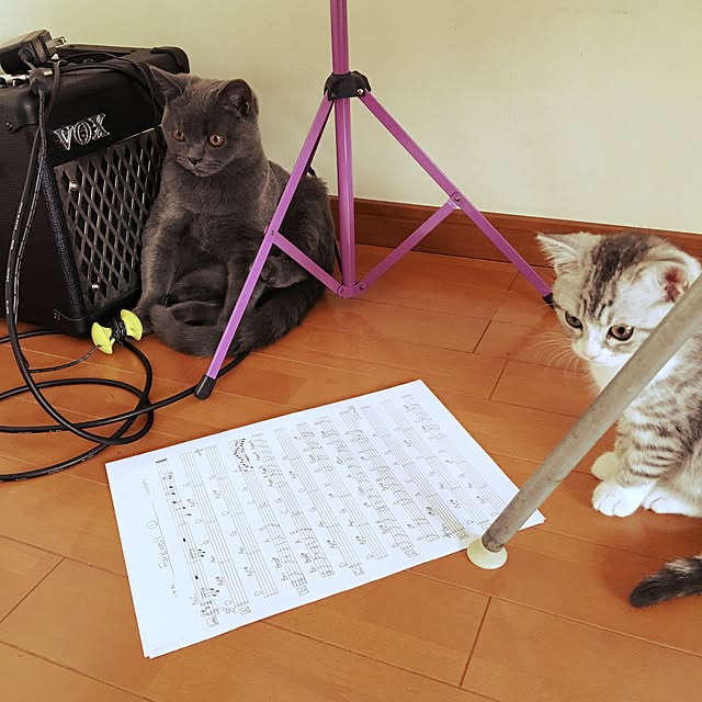 Shojiさんの実例写真