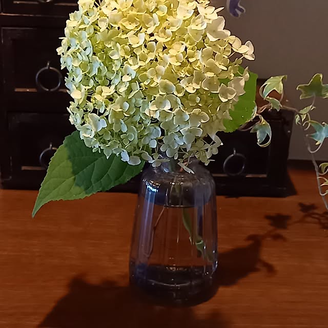 anzmama0404さんの実例写真