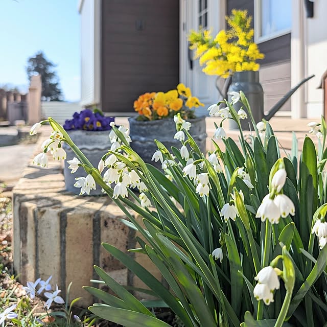 mak.さんの実例写真