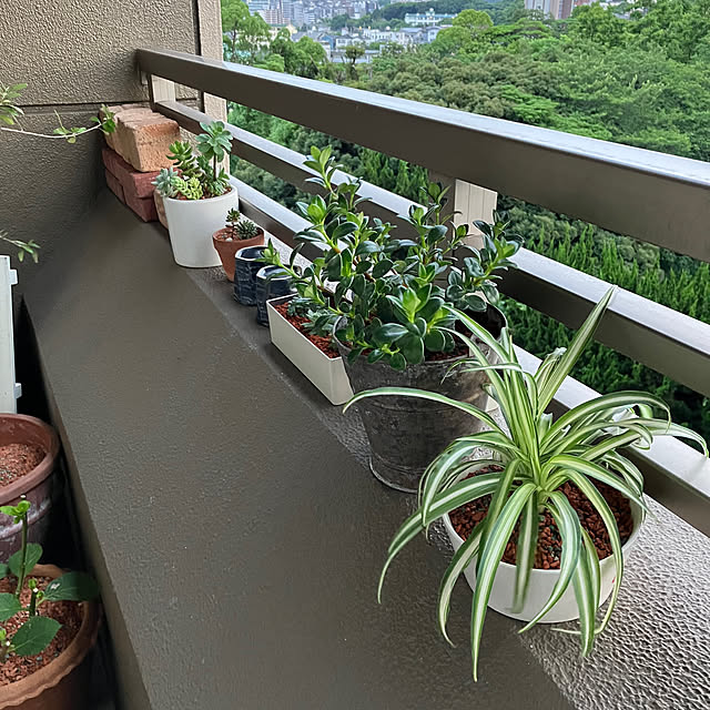 koshiregutyoさんの実例写真