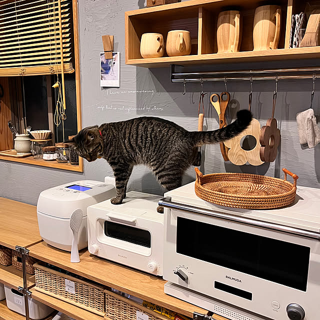puu.tuuliさんの部屋