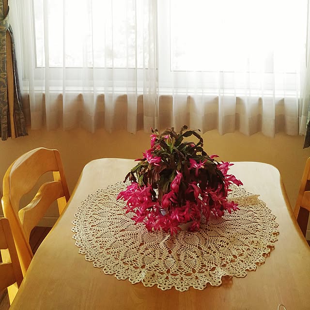 kikusukeさんの実例写真