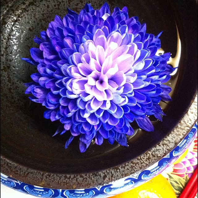 Hadesさんの実例写真