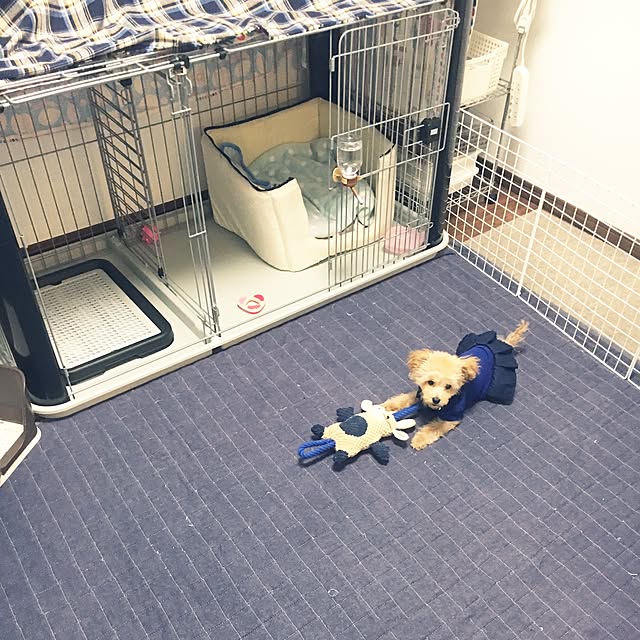 cocco0505さんの実例写真