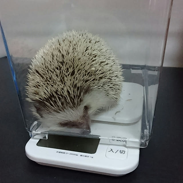 Reikomさんの実例写真