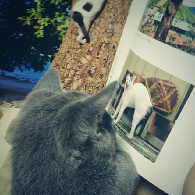 ameji14さんの実例写真