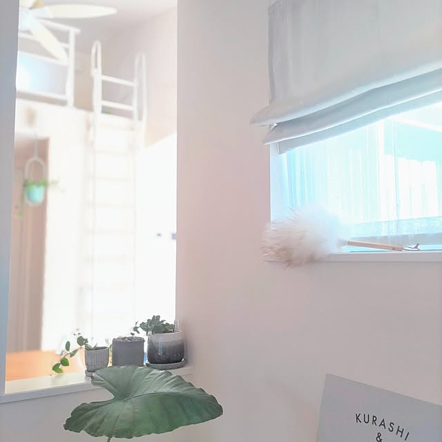 Haさんの実例写真