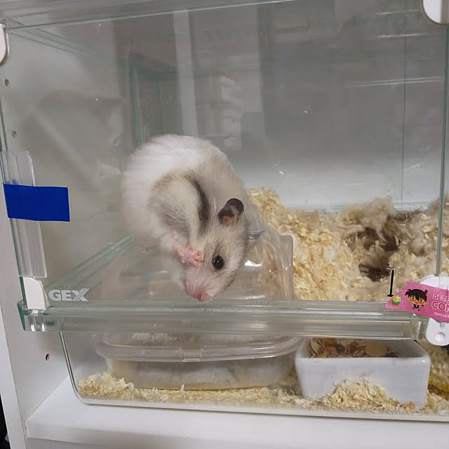 yukieさんの実例写真