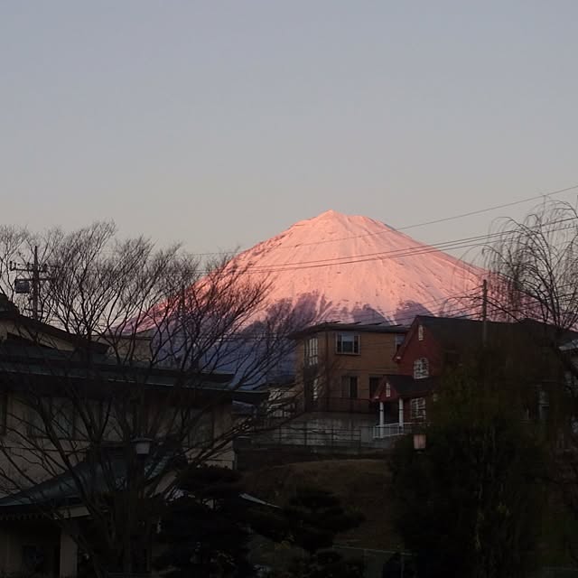 yandakoumutenさんの実例写真