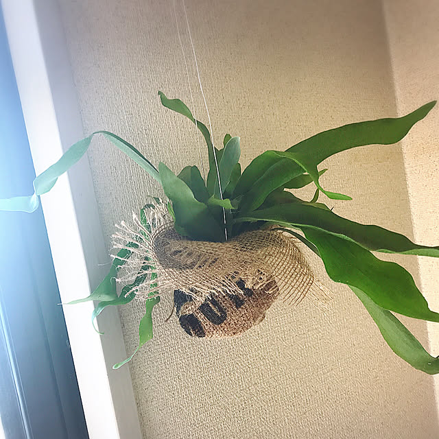 ogenさんの実例写真