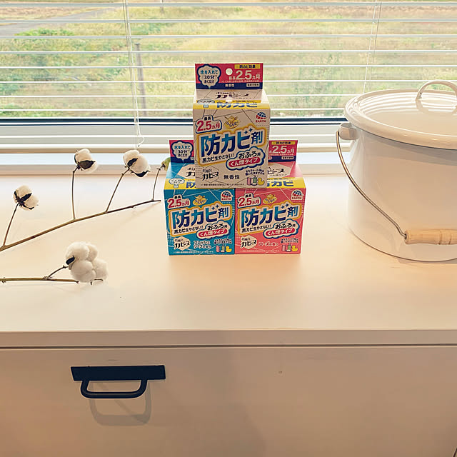 chisarucanさんの実例写真
