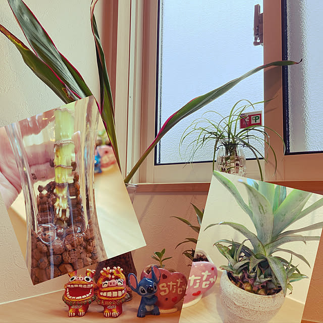 imoimoさんの実例写真