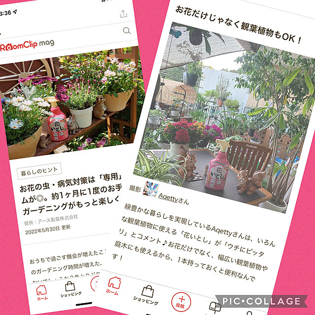 Aqettyさんの実例写真