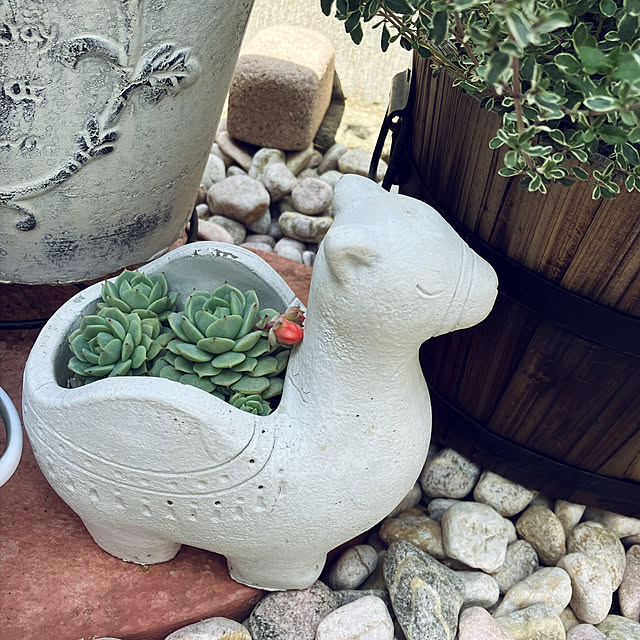na-さんの実例写真