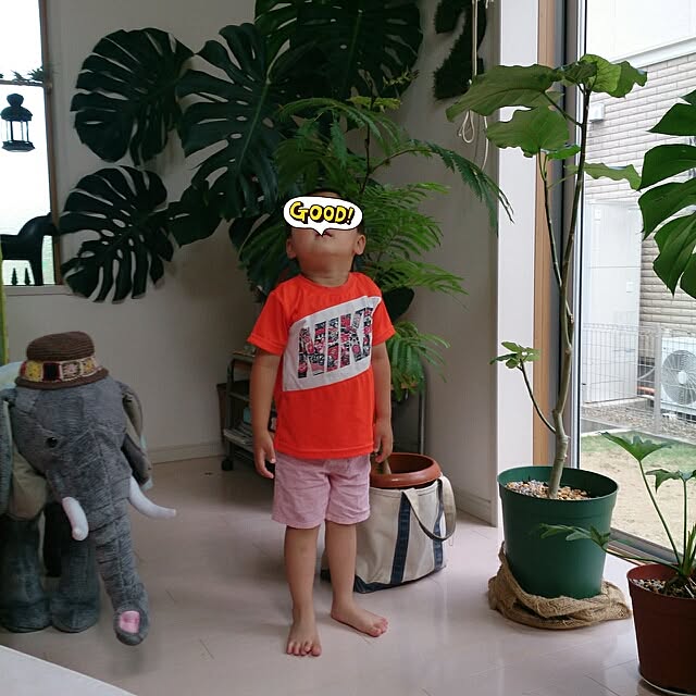 urchinさんの実例写真