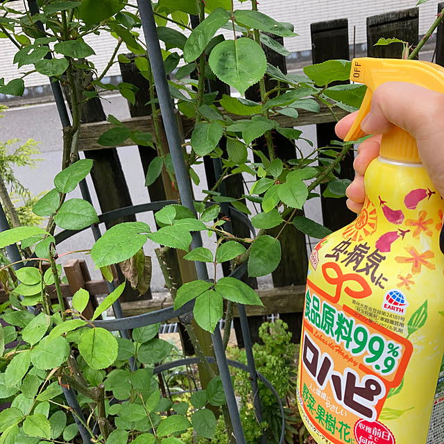 hakoniwaさんの実例写真