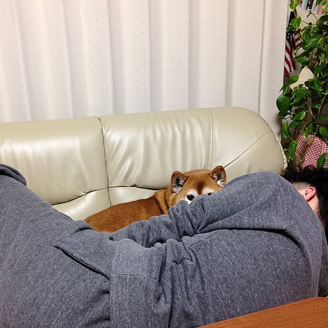Hanaさんの実例写真