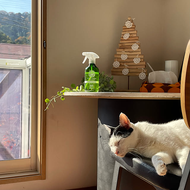 nobikoさんの部屋