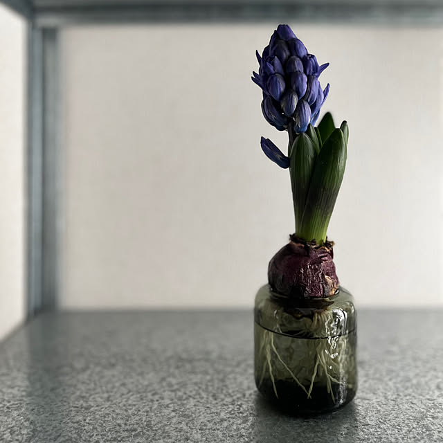 moon.mさんの部屋