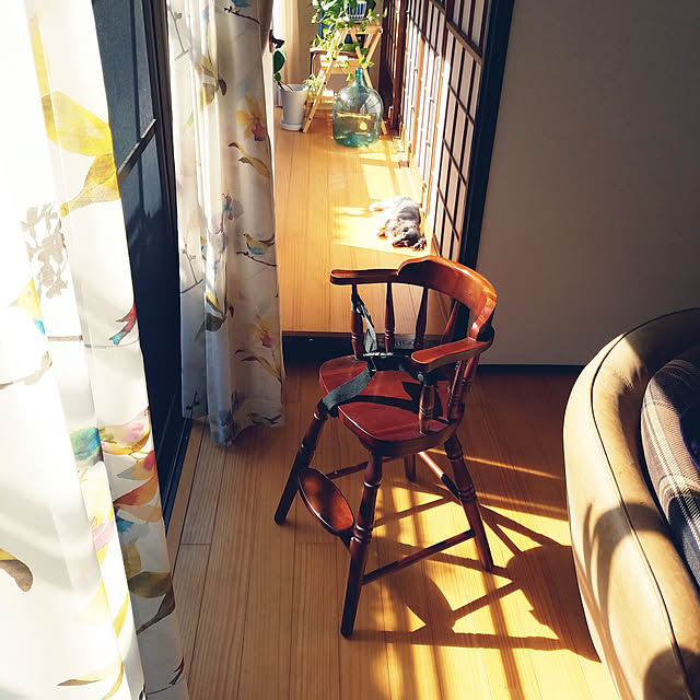 albaさんの実例写真